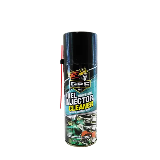 اسپری انژکتورشوی گلپخش 450 میلی لیتر